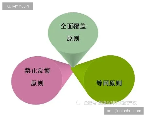 界外判定规则详解：判断标准与常见误区解析